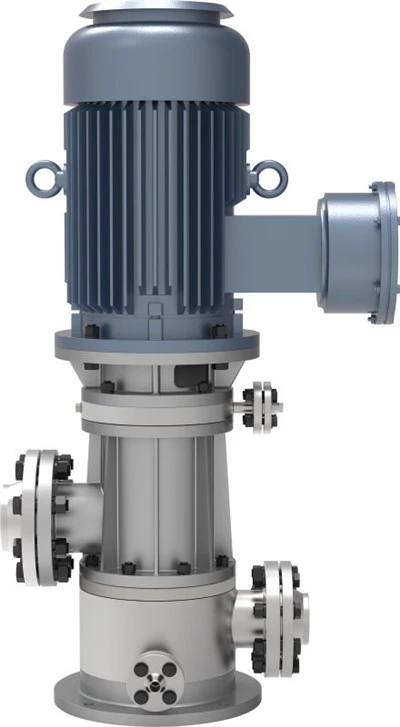 BMXG -serie verticale magnetische drive -draaipumps